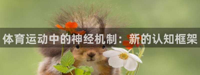 kok中欧体育：体育运动中的神经机制：新的认知框架
