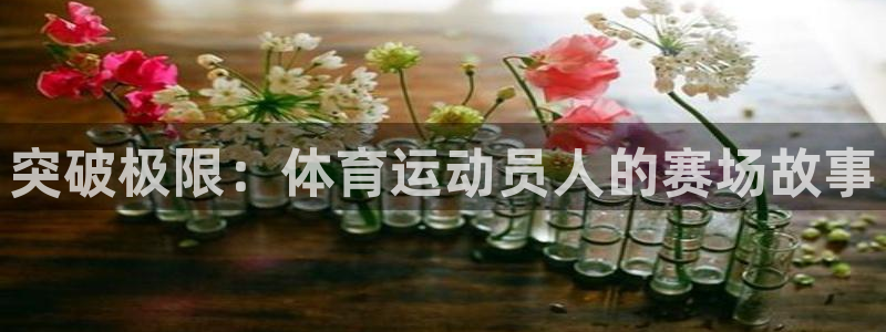 中欧体育zoty下载：突破极限：体育运动员人的赛场故事
