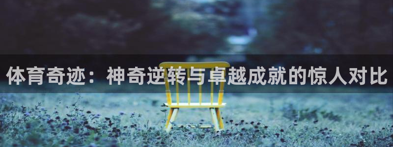 中欧体育客服：体育奇迹：神奇逆转与卓越成就的惊人对比