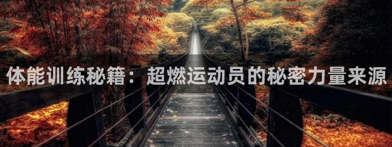 中欧体育下载：体能训练秘籍：超燃运动员的秘密力量来源