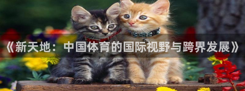 中欧体育网址：《新天地：中国体育的国际视野与跨界发展》