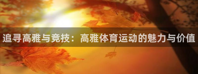 中欧体育李勇鸿：追寻高雅与竞技：高雅体育运动的魅力与价值