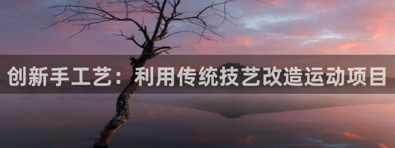 中欧体育(zoty)官网：创新手工艺：利用传统技艺改造运动项目