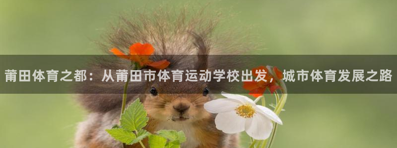 中欧体育kok：莆田体育之都：从莆田市体育运动学校出发，城市体育发展之路