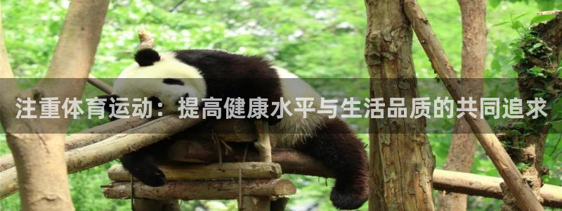 中欧体育最新地址：注重体育运动：提高健康水平与生活品质的共同追求