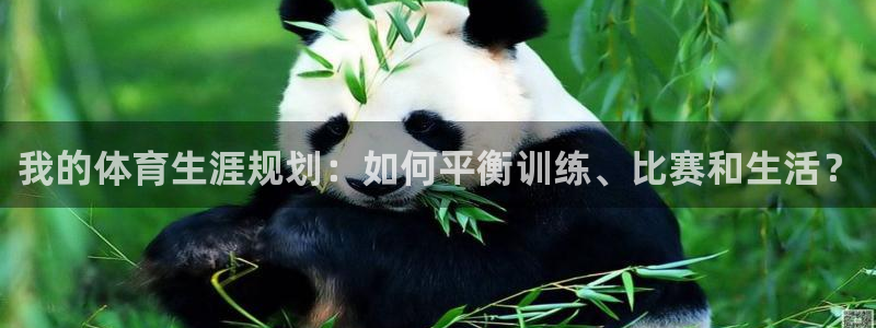 中欧体育：我的体育生涯规划：如何平衡训练、比赛和生活？